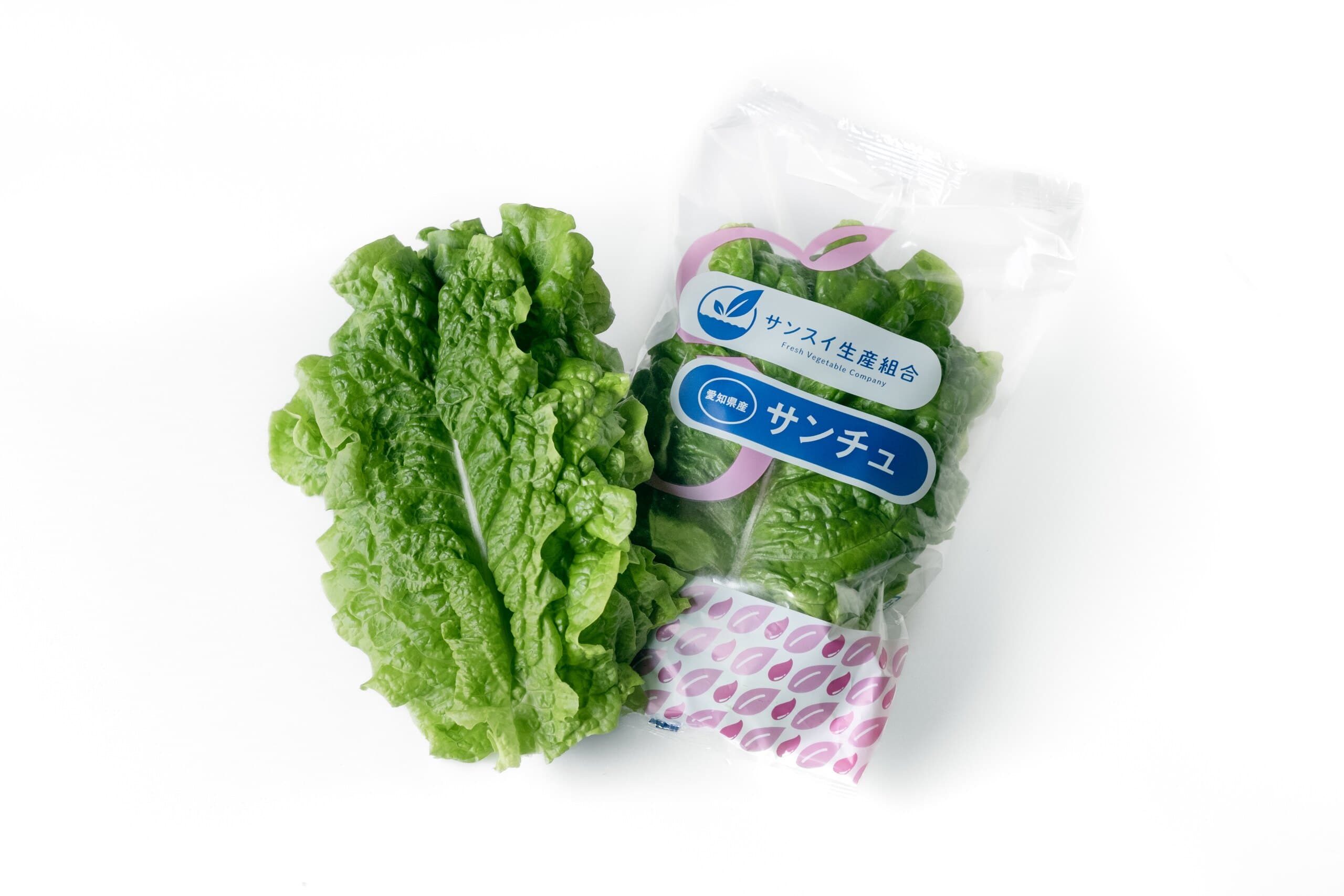 サンチュの葉