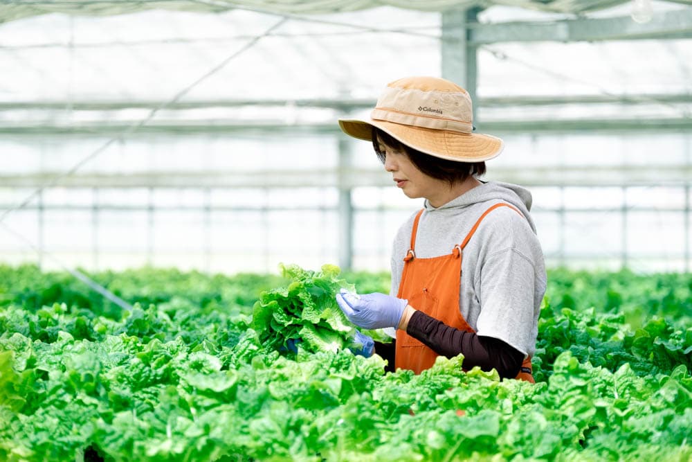 野菜を育てることは、子育てに近い